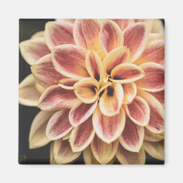 Summer Dahlia Blume (Floral Art) Magnet