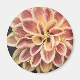 Summer Dahlia Blume (Floral Art) Magnet