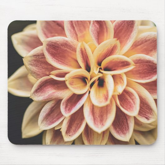 Summer Dahlia Blume (Floral Art) Mousepad (Vorne)