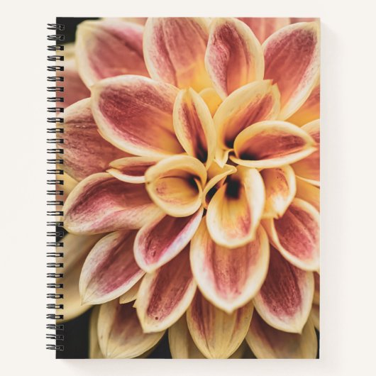 Summer Dahlia Blume (Floral Art) Notizblock (Vorderseite)