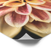 Summer Dahlia Blume (Floral Art) Poster (Ecke)