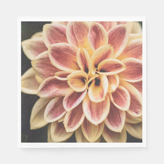 Summer Dahlia Blume (Floral Art) Serviette (Vorderseite)