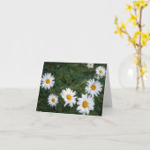 Summer Daisies Blank Folded Grußkarte Karte (Gelbe Blume)