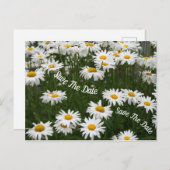 Summer Daisy Blume Save the Date Postcard Ankündigungspostkarte (Vorne/Hinten)