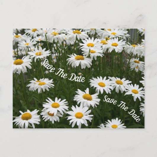 Summer Daisy Blume Save the Date Postcard Ankündigungspostkarte (Vorderseite)