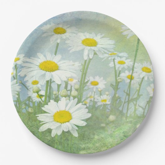Summer Daisy Field Pappteller (Vorderseite)