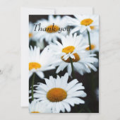 Summer Daisy Flat Danke-Card Dankeskarte (Vorderseite)