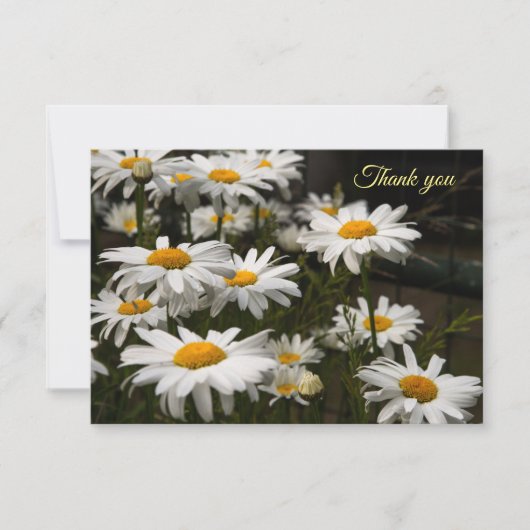 Summer Daisy Flat Danke-Card Dankeskarte (Vorderseite)