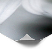 Summer Daisy Poster (Ecke)