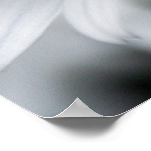 Summer Daisy Poster (Ecke)