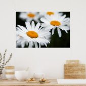 Summer Daisy Poster (Küche)