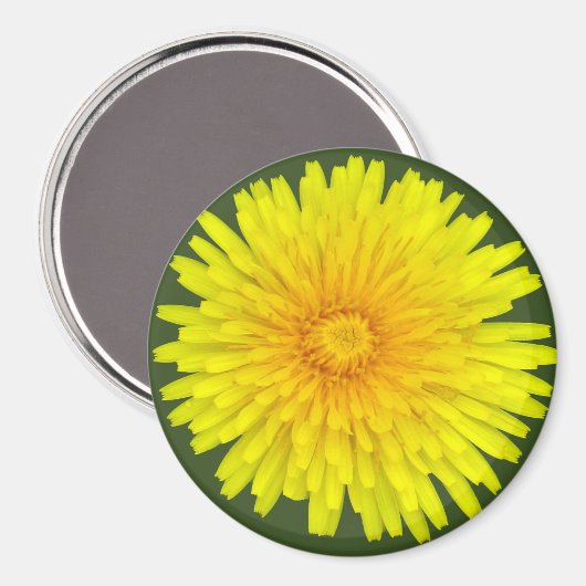 Summer Dandelion Magnet (Vorderseite/Rückseite)