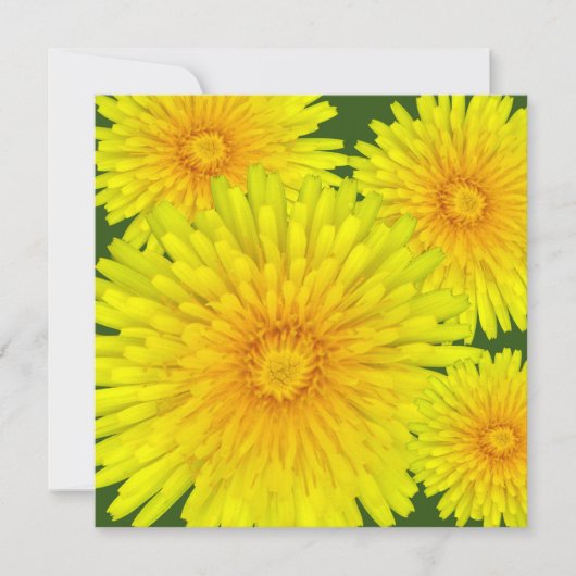 Summer Dandelion Mitteilungskarte (Vorderseite)