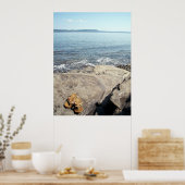 Summer Days Poster (Küche)