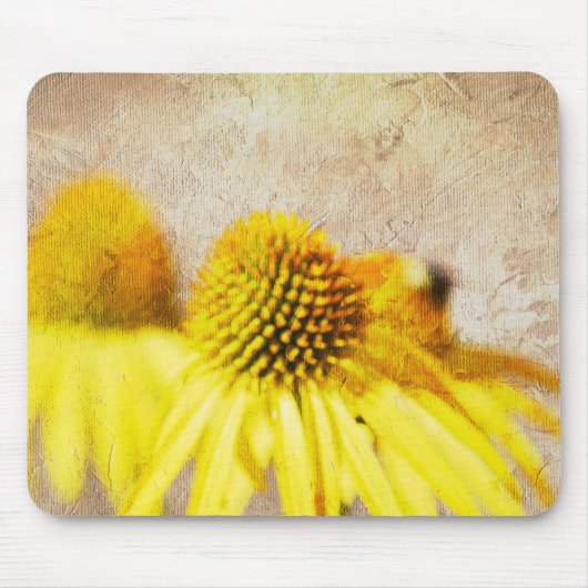 Summer Echinacea Blume Mousepad (Vorne)