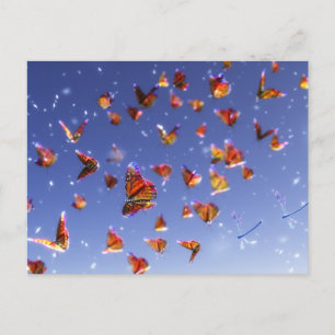 Summer Fantasia Postkarte