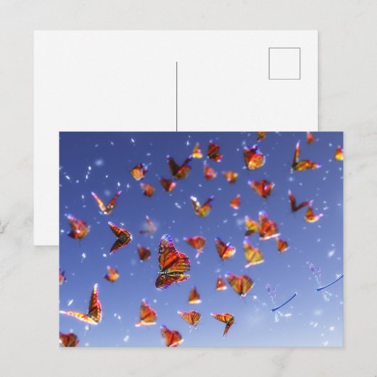 Summer Fantasia Postkarte (Vorne/Hinten)