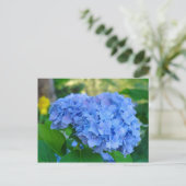 Summer Floral Garden Postcard Blue Hydrangea Postkarte (Stehend Vorderseite)