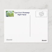 Summer Floral Garden Postcard Blue Hydrangea Postkarte (Rückseite)