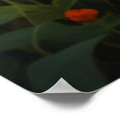 Summer Flower Garden White Blume Poster (Ecke)