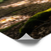 Summer Forest Dear Poster (Ecke)