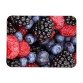 Summer Fruit Berries Magnet (Horizontal)