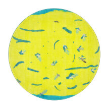 Summer Fun Cutting Board