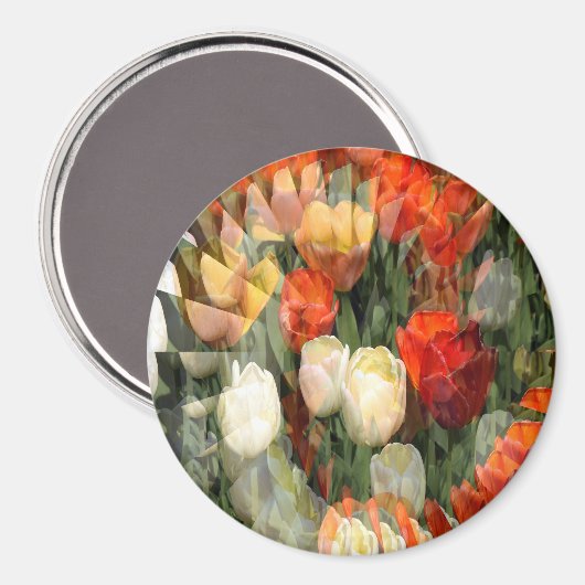 Summer Garden......... Magnet (Vorderseite/Rückseite)