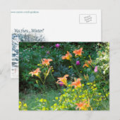 Summer Garden Postcard, Winterdenken Postkarte (Vorne/Hinten)