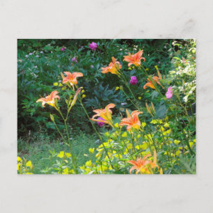 Summer Garden Postcard, Winterdenken Postkarte