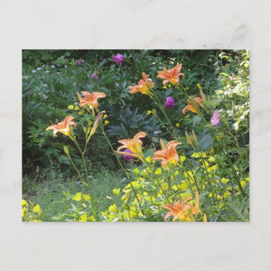 Summer Garden Postcard, Winterdenken Postkarte (Vorderseite)