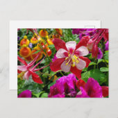 Summer Garden Postkarte (Vorne/Hinten)