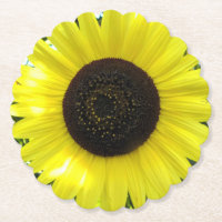 Summer Garden Sunflower