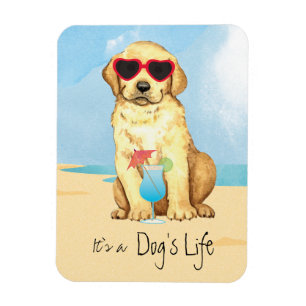 Summer Gelbe Labrador Magnet