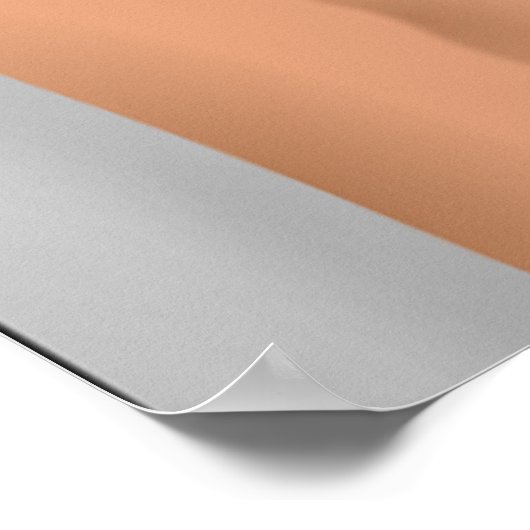 SUMMER GIRL POSTER (Ecke)