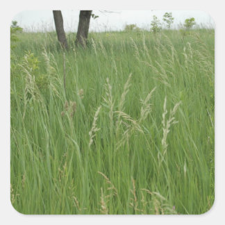 Summer Grass Sticker von H.A.S. Arts