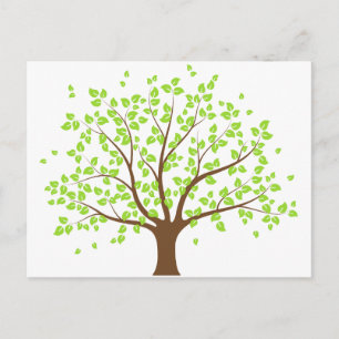 Summer Green Tree Postcard Postkarte