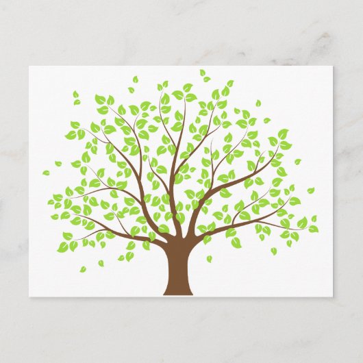 Summer Green Tree Postcard Postkarte (Vorderseite)