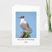 Summer Greetings Bird Card Karte (Rückseite)