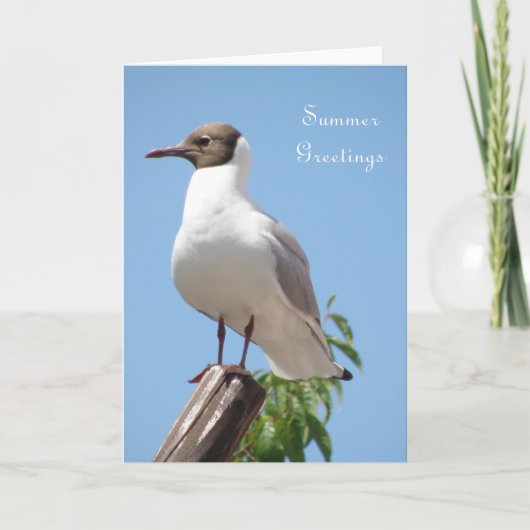 Summer Greetings Bird Card Karte (Vorderseite)