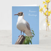 Summer Greetings Bird Card Karte (Gelbe Blume)