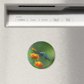 Summer Humm II Magnet (In Situ (Geschirrspüler))
