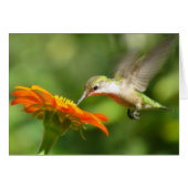 Summer Hummer (Vorderseite (Horizontal))