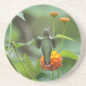 Summer Hummer Getränkeuntersetzer (Vorne)