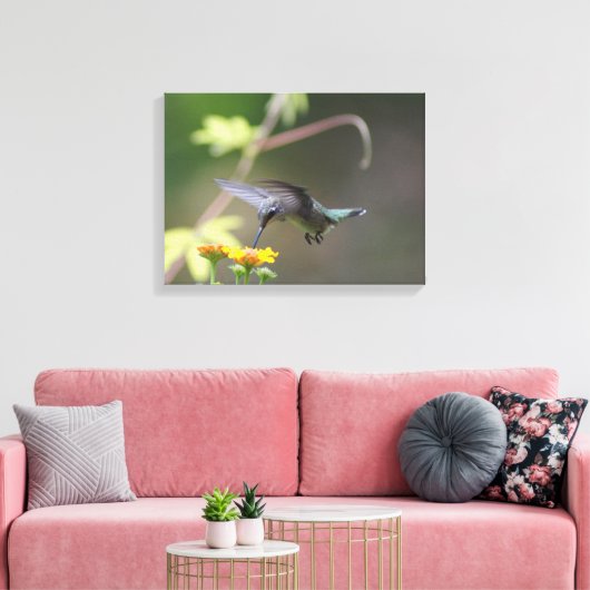 Summer Hummer Leinwanddruck (Insitu (Wohnzimmer))