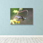 Summer Hummer Leinwanddruck (Insitu (Holzboden))