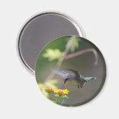 Summer Hummer Magnet (Vorderseite/Rückseite)