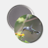 Summer Hummer Magnet (Vorderseite/Rückseite)