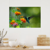 Summer Hummer Poster (Küche)