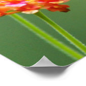 Summer Hummer Poster (Ecke)